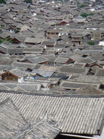 f0051186_09425.jpg