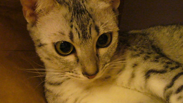 b0039090_14151718.jpg