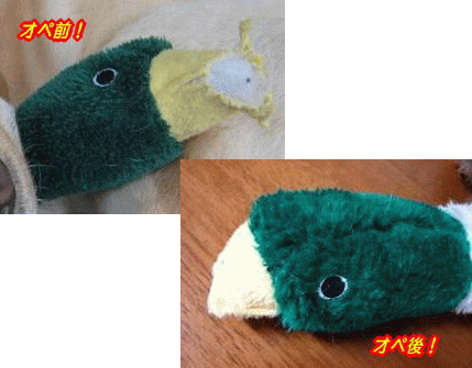 c0028792_23141126.gif