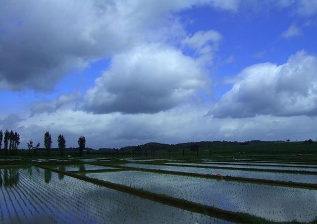 c0118496_2035221.jpg