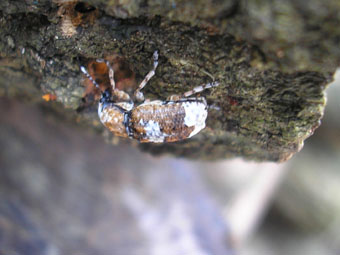 e0083097_117515.jpg