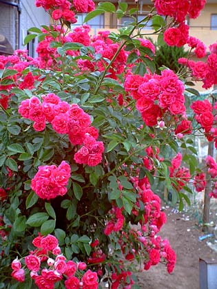 b0000302_18413979.jpg