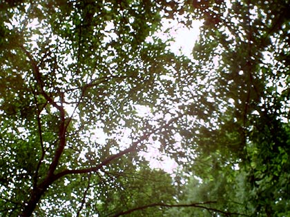 b0000302_18415846.jpg