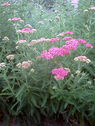 b0000302_18421179.jpg