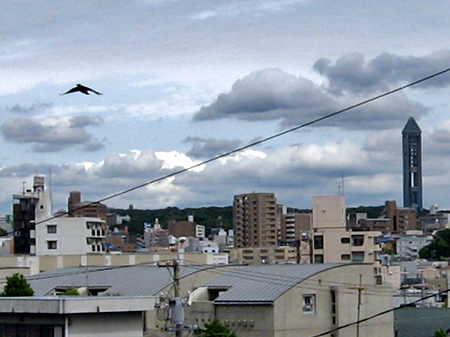c0030705_122055.jpg