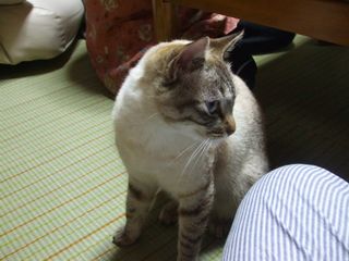 c0103205_21294375.jpg