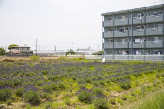 c0037519_18281177.jpg