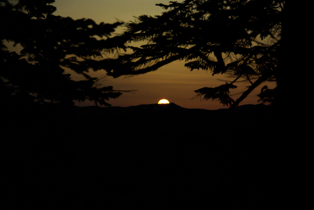 b0062024_20461542.jpg