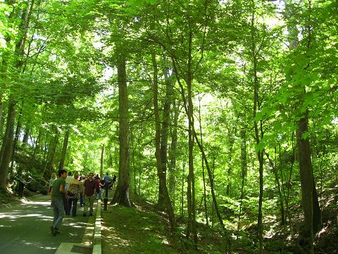 b0075828_1183626.jpg