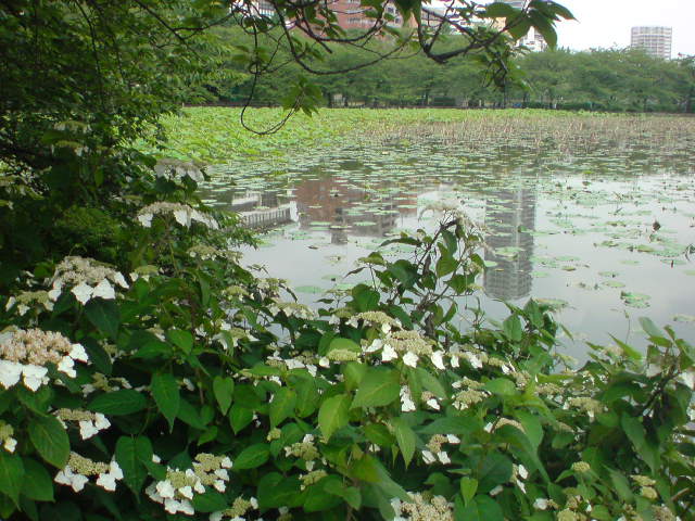 e0016828_2150524.jpg