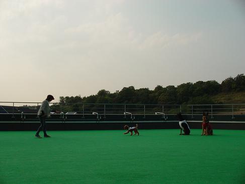 f0088731_0115333.jpg