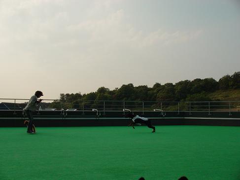 f0088731_0121491.jpg