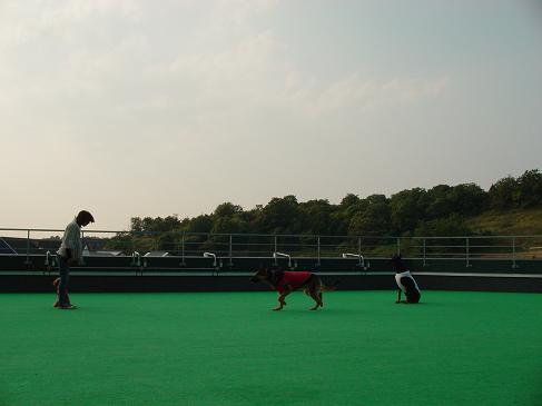 f0088731_012414.jpg