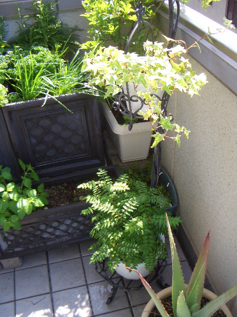 c0146637_18543796.jpg