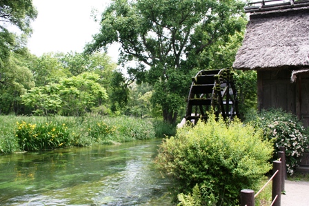 f0131939_14142340.jpg