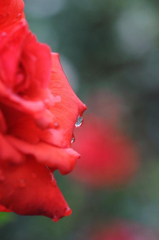 e0095142_2071890.jpg