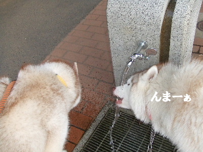e0121548_21112365.jpg