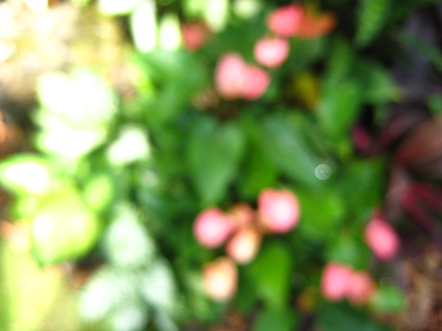 e0106349_15114331.jpg