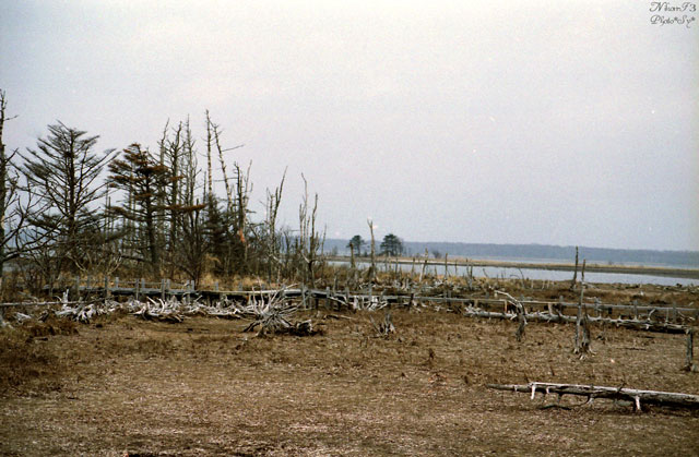 c0144353_14312984.jpg
