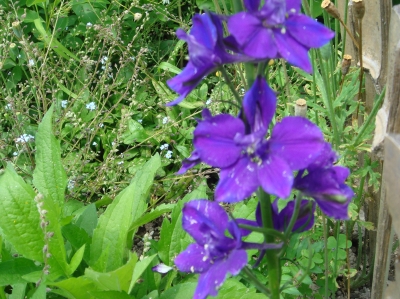 c0108460_20272620.jpg