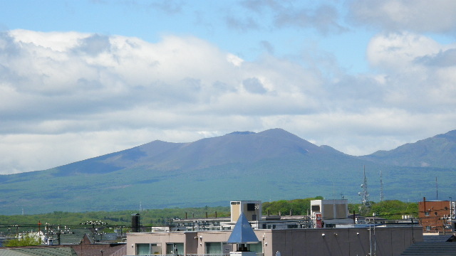 d0153062_9511960.jpg