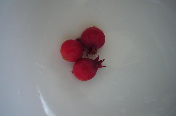 e0138066_21101586.jpg