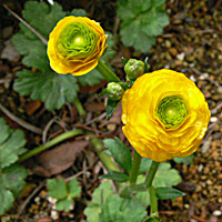 a0050669_2445670.jpg