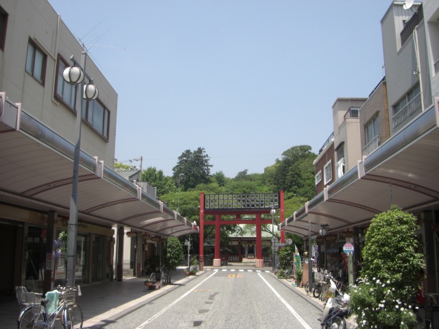 e0078069_211596.jpg