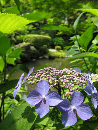 c0104371_13113489.jpg