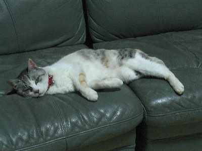 d0116578_2375927.jpg