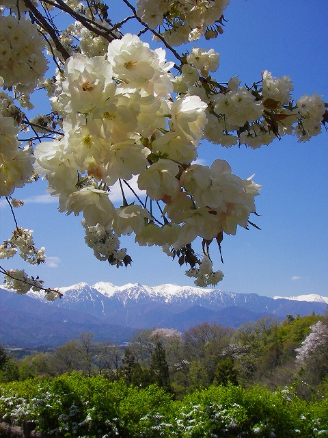 f0168478_11356.jpg