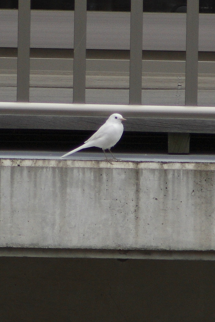 b0083779_21461100.jpg