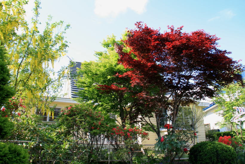 c0112479_10363550.jpg