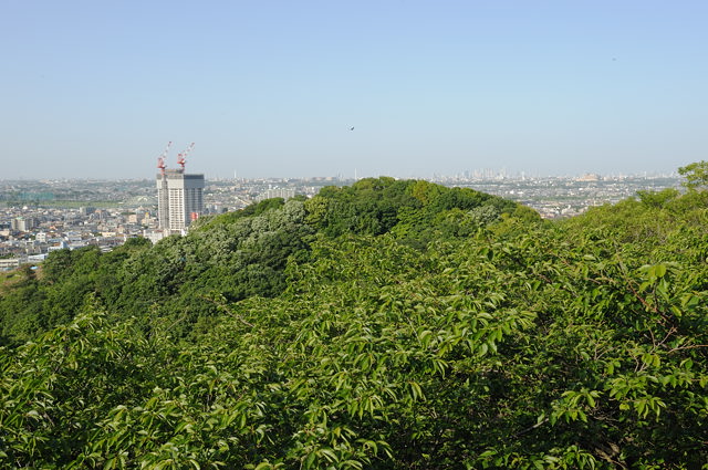 b0102780_7414711.jpg