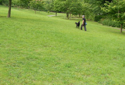 f0045283_14291978.jpg