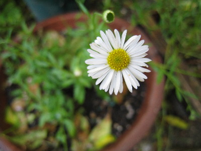 c0132387_0421518.jpg