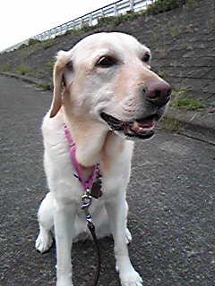 c0028792_2258711.jpg