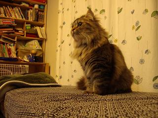 f0081594_1113395.jpg
