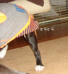 c0094999_18142787.jpg