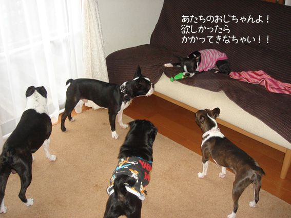 c0094999_18431777.jpg