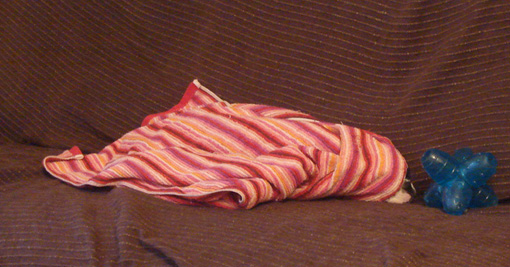 c0094999_18522456.jpg