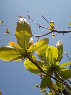 f0032403_6504598.jpg
