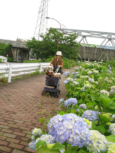 c0011204_2244472.jpg