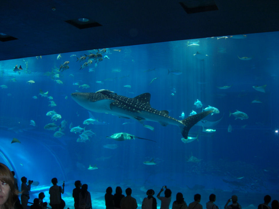 c0149804_1739332.jpg