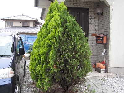 e0033013_2391780.jpg