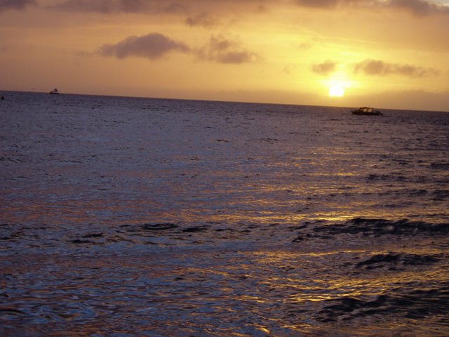 a0000014_951967.jpg