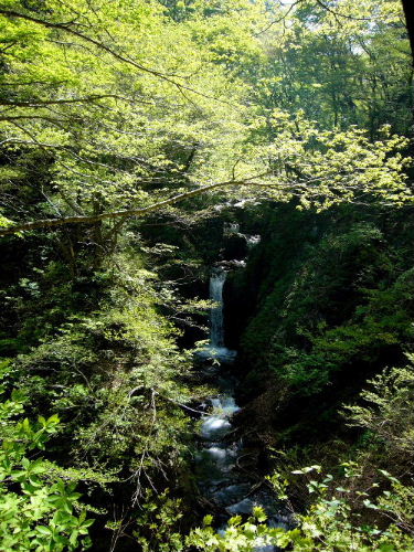 d0075131_2364479.jpg
