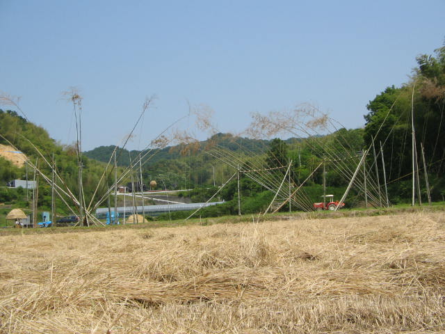 e0129831_364126.jpg