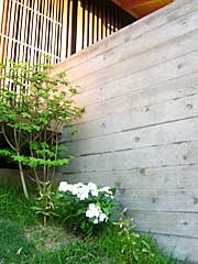 d0040733_1712091.jpg