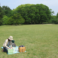 d0033734_1135098.jpg